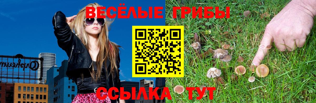 Псилоцибиновые грибы прущие грибы  закладка  Кизляр  Вход с VPN  Галлюциногенные грибы прущие грибы 